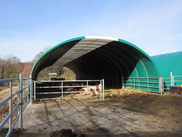 Tarp with translucent ridge